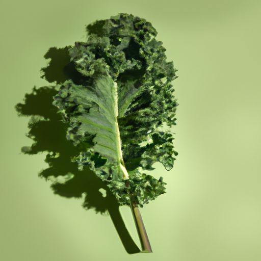 Korzyści zdrowotne codziennego spożywania zielonych warzyw liściastych